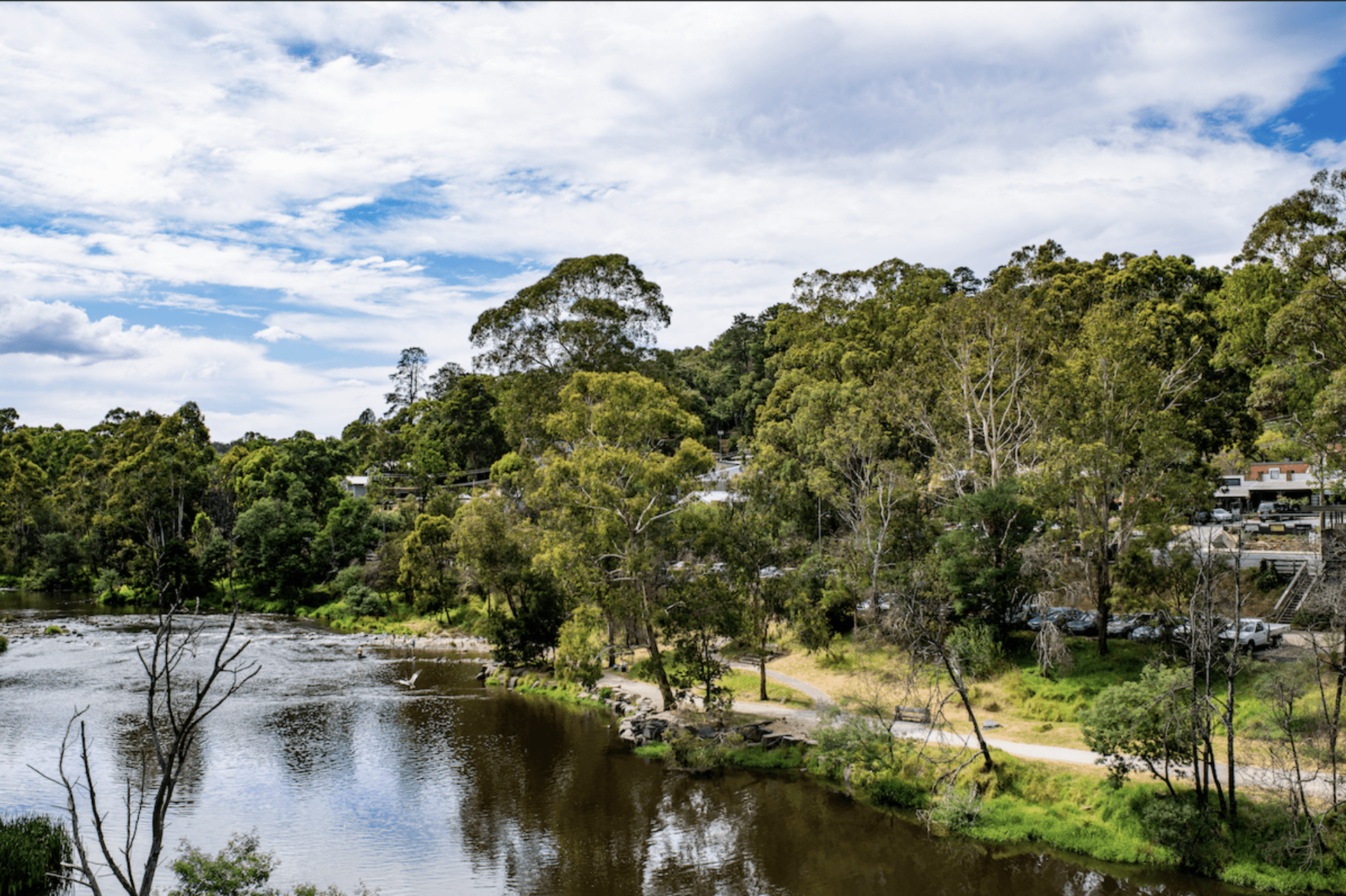 Computer Repairs Warrandyte South